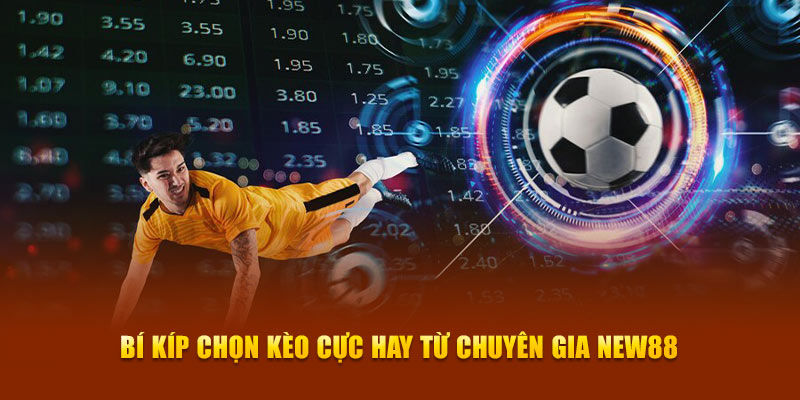 Bí kíp chọn kèo cực hay từ chuyên gia New88